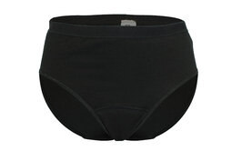 Beeren Period Maxi Brief Regular Flow zwar